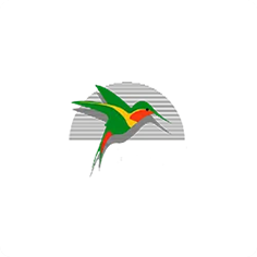 Logo colibri